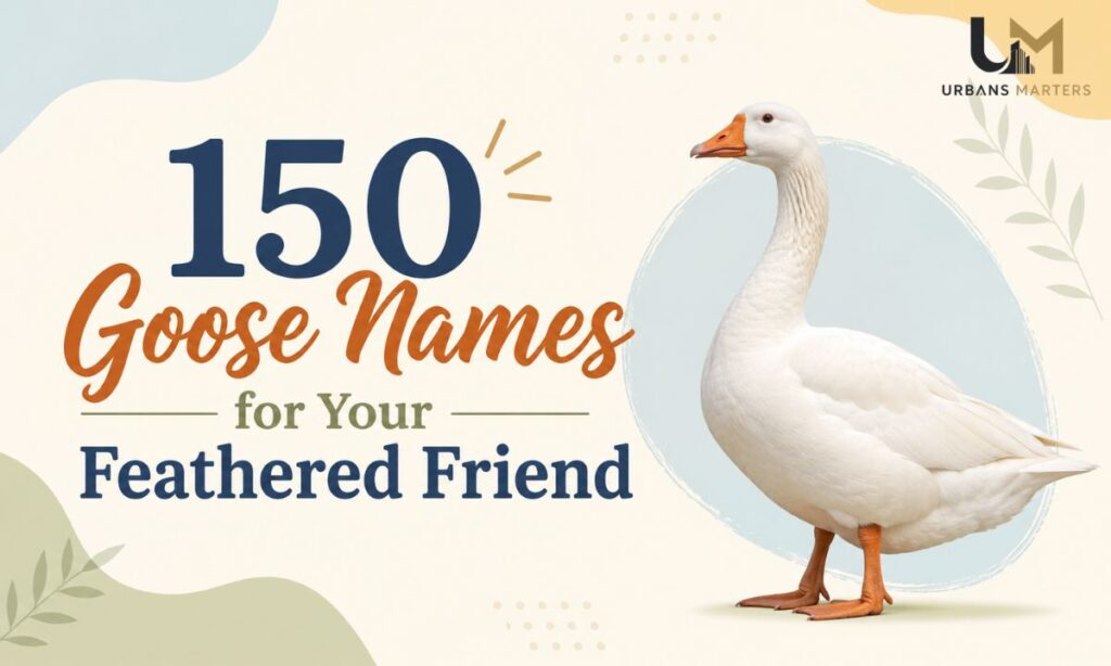150 Goose Names for Your Feathered Friend