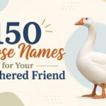 150 Goose Names for Your Feathered Friend