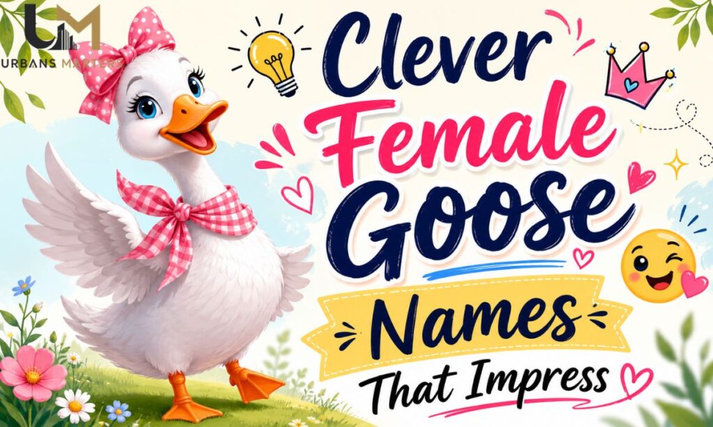 Clever Female Goose Names That Impress