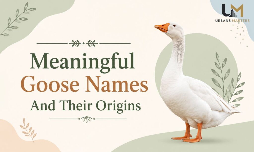 Meaningful Goose Names And Their Origins